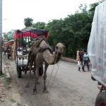 2 km okolo Taj Mahalu je zakáaná automobilová dobrava